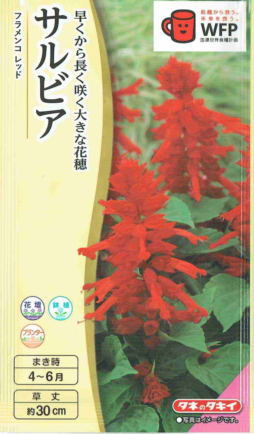 タキイ種苗 サルビア フラメンコレッドのタネ[内容量：0.4ml]