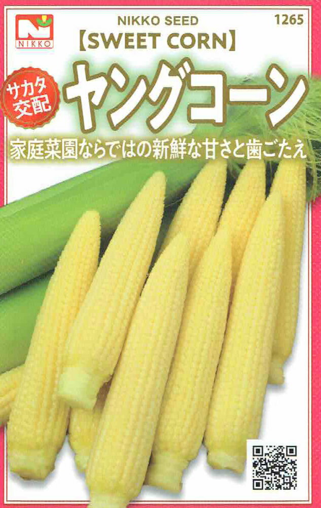 日光種苗　ヤングコーン（とうもろこし）のタネ　[内容量：10ml]【1265】【春】
