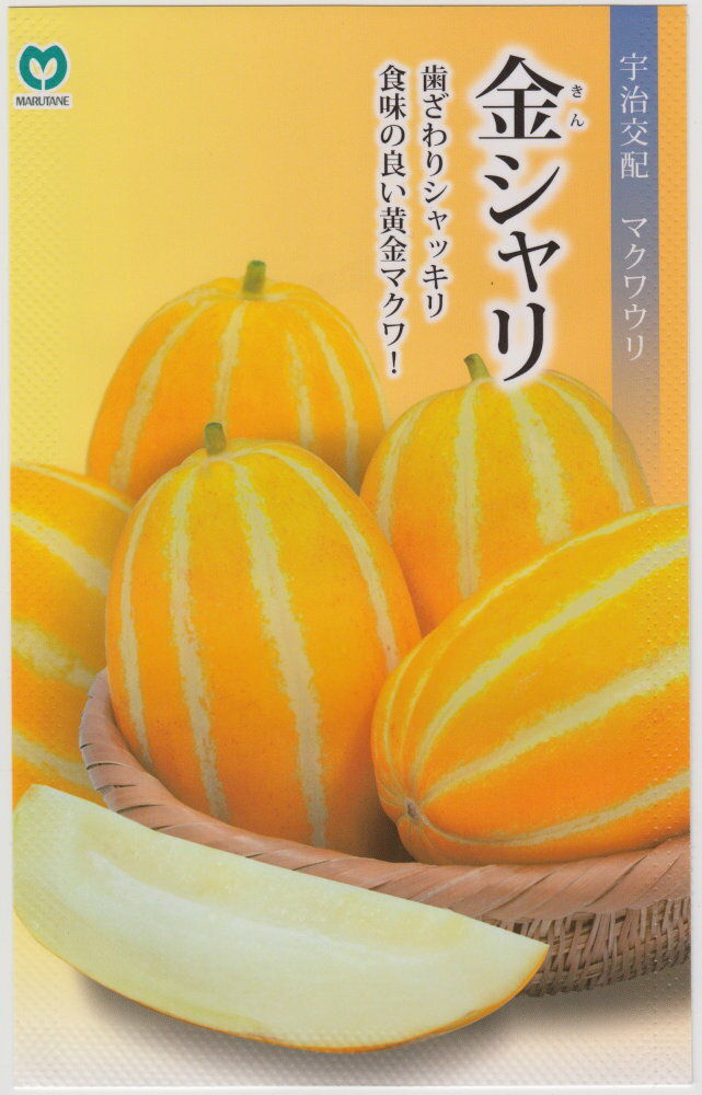 丸種 マクワウリ 金シャリのタネ[内容量：0.8ml]