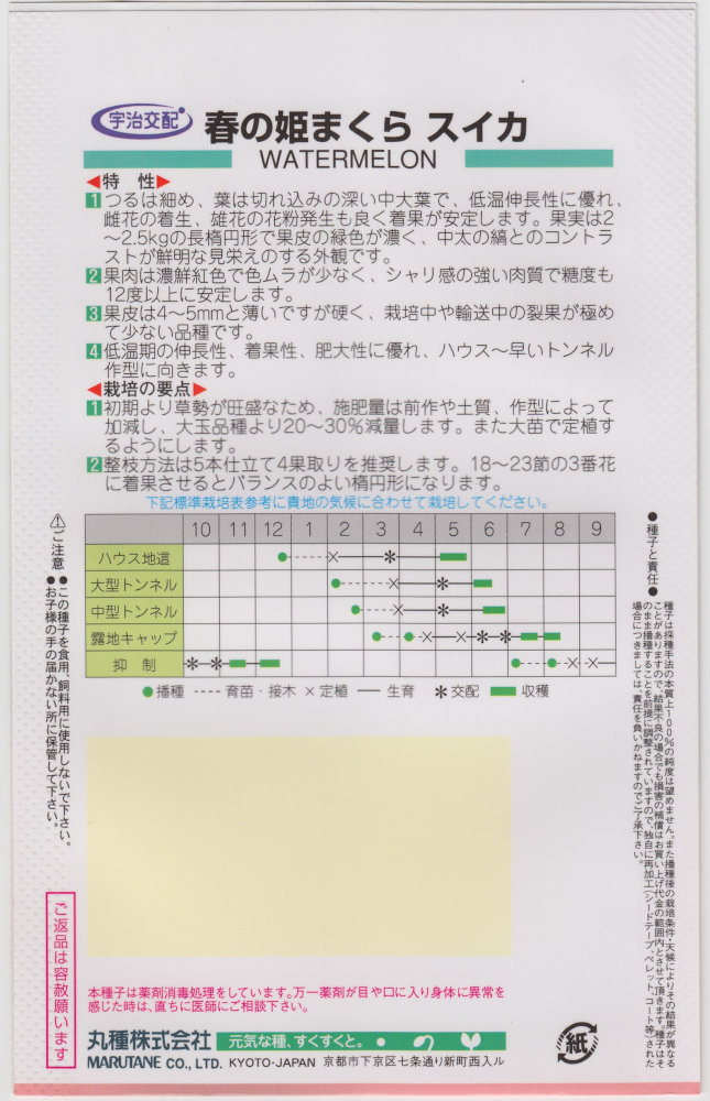 丸種 スイカ 春の姫まくらのタネ[内容量：約7粒]