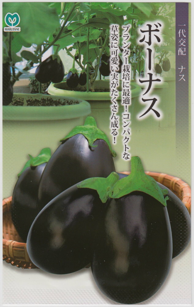 製造元：丸種プランター栽培に最適!コンパクトな草姿に可愛い実がたくさん成る!ナス ボーナストンネルの要・不要や定植などの情報は商品パッケージをご確認ください。果重100gプランター放任栽培特性コンパクトな草姿で、プランター栽培に最適です。 整枝の必要はなく、放任でも簡単にナスが栽培できます。果実はテリのある黒紫色で美しいです。果重100gぐらいが収穫の目安です。 曲がりや変形果はほとんど発生せず秀品率が高いです。また、ヘタのトゲの発生は大変少ないです。夏の暑さにも強く、1株で40果以上の果実が穫れます。栽培の要点着果させすぎると色ボケしやすくなるので、適宜収穫します。 乾燥しすぎると果皮が硬くなりますので潅水はこまめに行います。ナスの種子,なすの種子,茄子の種子,ボーナスの種子,ぼーなすの種子,放任栽培
