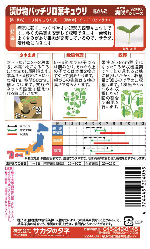 サカタのタネ 四葉キュウリ 味さんごのタネ[内容量：約18粒]