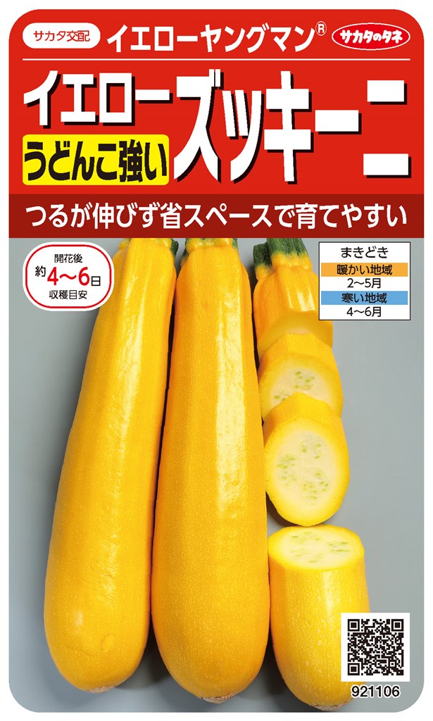 サカタのタネ うどんこ病に強いズッキーニ イエローヤングマンのタネ[内容量：4ml]