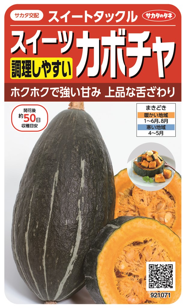 サカタのタネ スイーツカボチャ スイートタックルのタネ[内容量：約6粒]