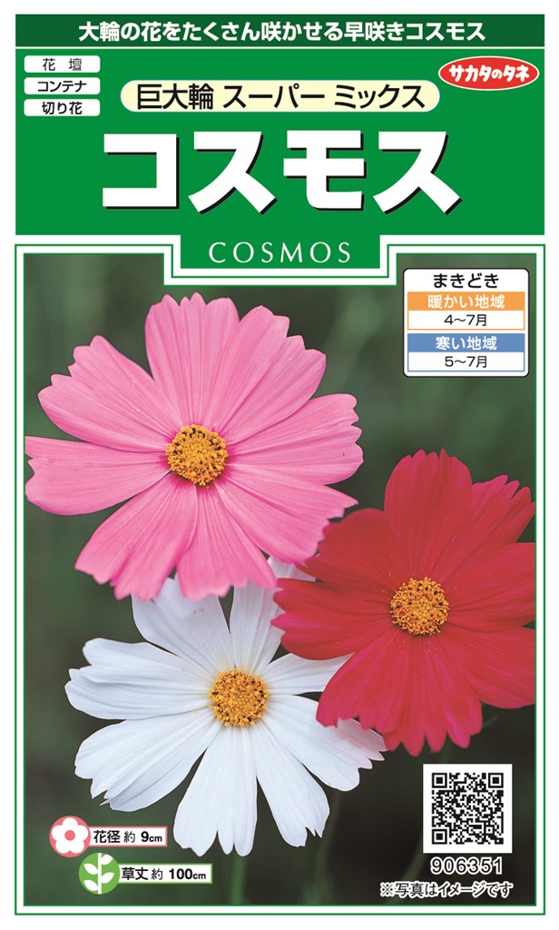 製造元：サカタのタネ大輪の花をたくさん咲かせる早咲きコスモスコスモス 巨大輪スーパーミックストンネルの要・不要や定植などの情報は商品パッケージをご確認ください。鉢植プランター切花花径約9草丈約100発芽日数5〜10日発芽適温20℃前後生育適温20〜25℃株間20特長花径約9cmにもなる見ごたえある大輪種です。花色はピンク系が中心で赤や白もバランスよく咲きます。タネまきから70~90日で開花する早咲き品種で花壇だけでなく切り花にも向きます。タネまき桜が開花するころからがタネまきの適期です。直まきが一般的ですが育苗もできます。直まきでは約20cm角の面積に4~5粒、育苗では小鉢やポットに2~3粒を1cmの深さにまきます。栽培のポイント日当たりと水はけのよい場所を選び有機質肥料をやや多めに与えます。育苗した苗は林間約20cmで植えつけます。気温の関係でやや異なりますが、4~5月まきでは約80日で開花する早咲き種です。植えつけ後はヨトウムシなどの食害に注意します。コスモスの種子,こすもすの種子,秋桜の種子,巨大輪スーパーミックスの種子,巨大輪すーぱーみっくすの種子