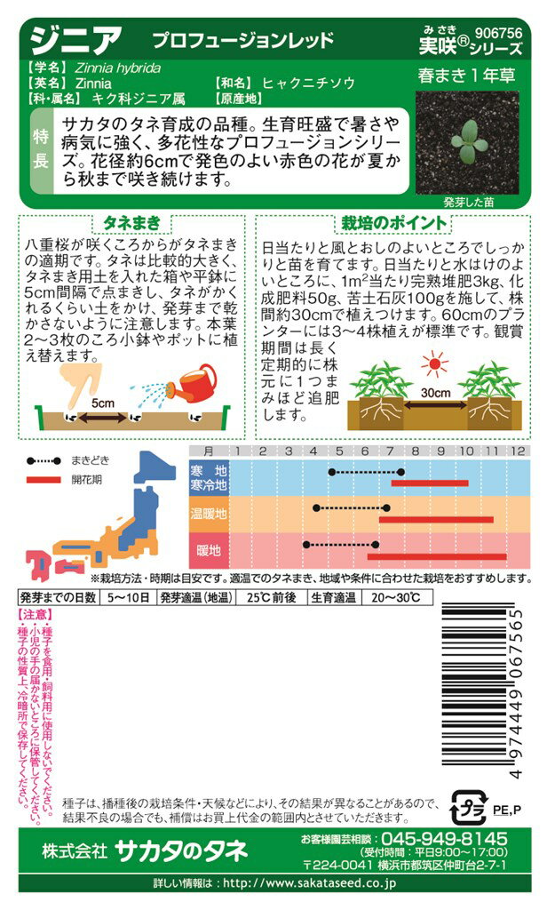 サカタのタネ ジニア (百日草) プロフュージョンレッドのタネ[内容量：0.2ml]