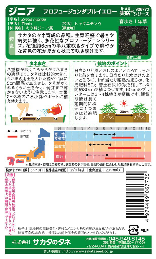 サカタのタネ ジニア (百日草) プロフュージョンダブルイエローのタネ[内容量：0.2ml]