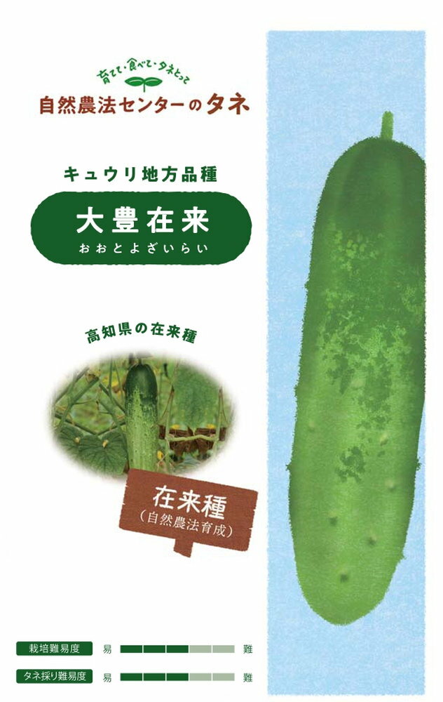 自然農法センター キュウリ 大豊在来のタネ(おおとよざいらい)[内容量：約10粒]