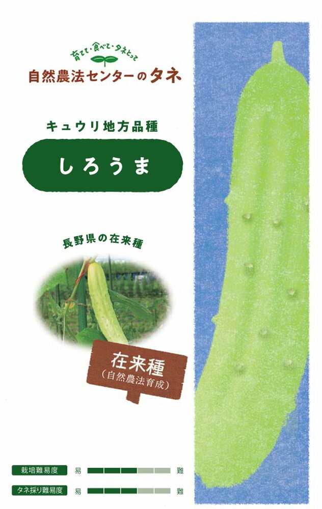 自然農法センター キュウリ しろうまのタネ[内容量：約10粒]