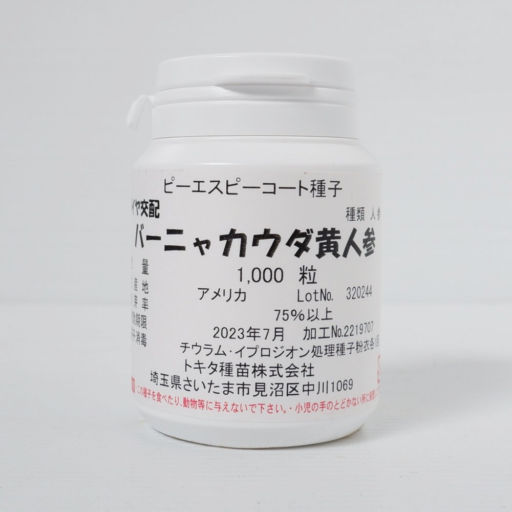 トキタ種苗 ニンジン バーニャカウダ黄のタネ[内容量：ピーエスピーコート種子約1,000粒]