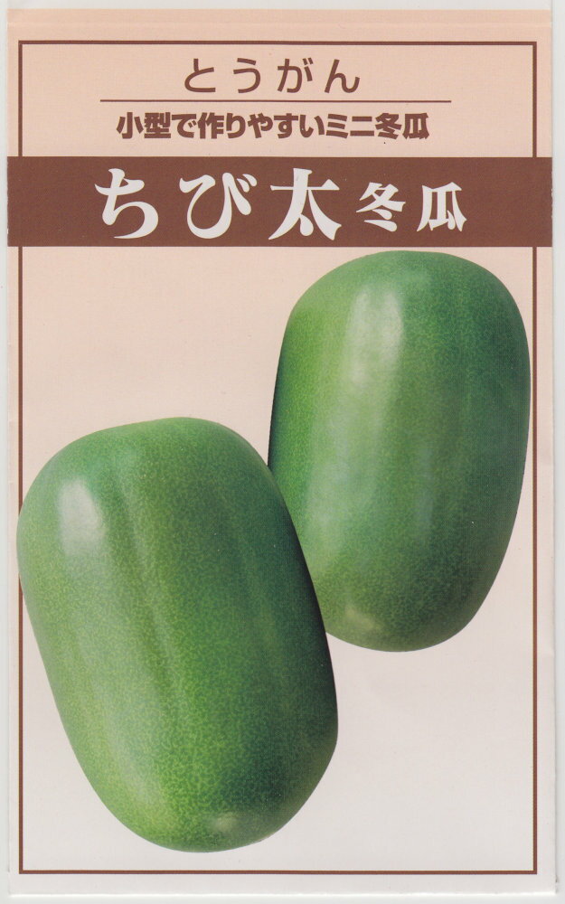 楽天市場】ミニ 冬瓜 種の通販