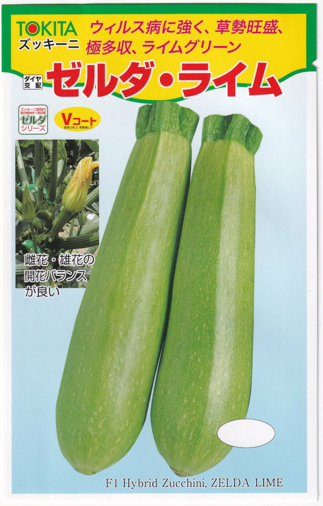 Ĥ㤨֥ȥ å 饤Υ[̡10γ]פβǤʤ462ߤˤʤޤ