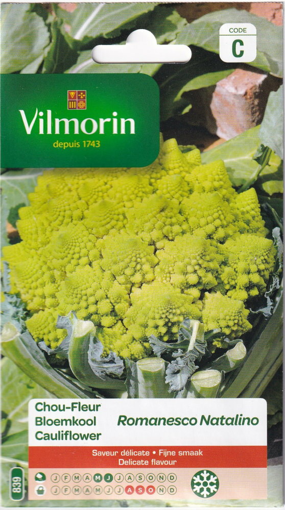 Vilmorin（フランス） カリフラワー Romanesco Natalinoのタネ