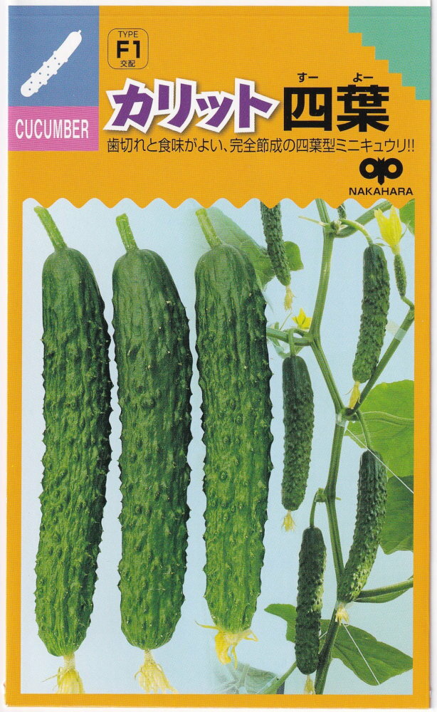 中原採種場 キュウリ カリット四葉のタネ[内容量：約8粒]