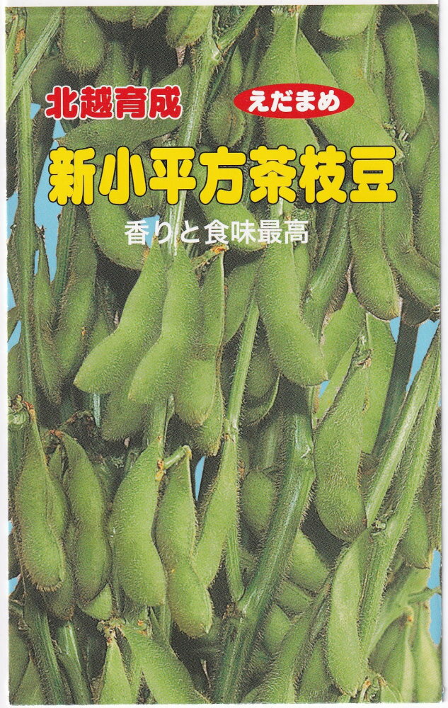 北越農事 エダマメ 新小平方茶枝豆のタネ[内容量：1dl]