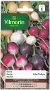 VilmorinitXj fBbV Radish Mix Colors̃^l[eʁF4g]