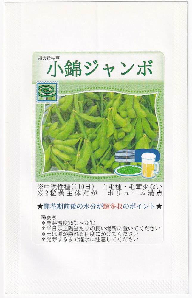 福井シード エダマメ 小錦ジャンボのタネ 内容量：50ml