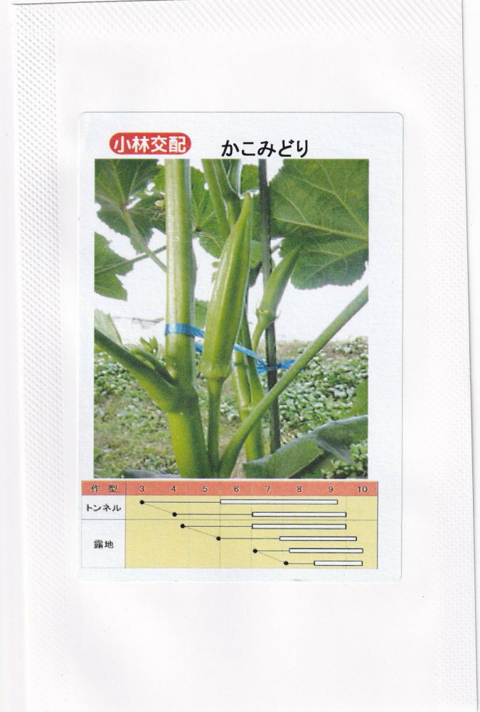 小林種苗 オクラ かこみどりのタネ[内容量：約80粒]