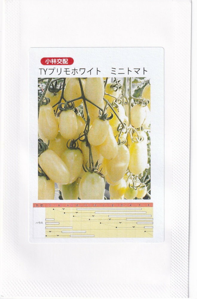 小林種苗 ミニトマト TYプリモホワイトのタネ[内容量：約7粒]