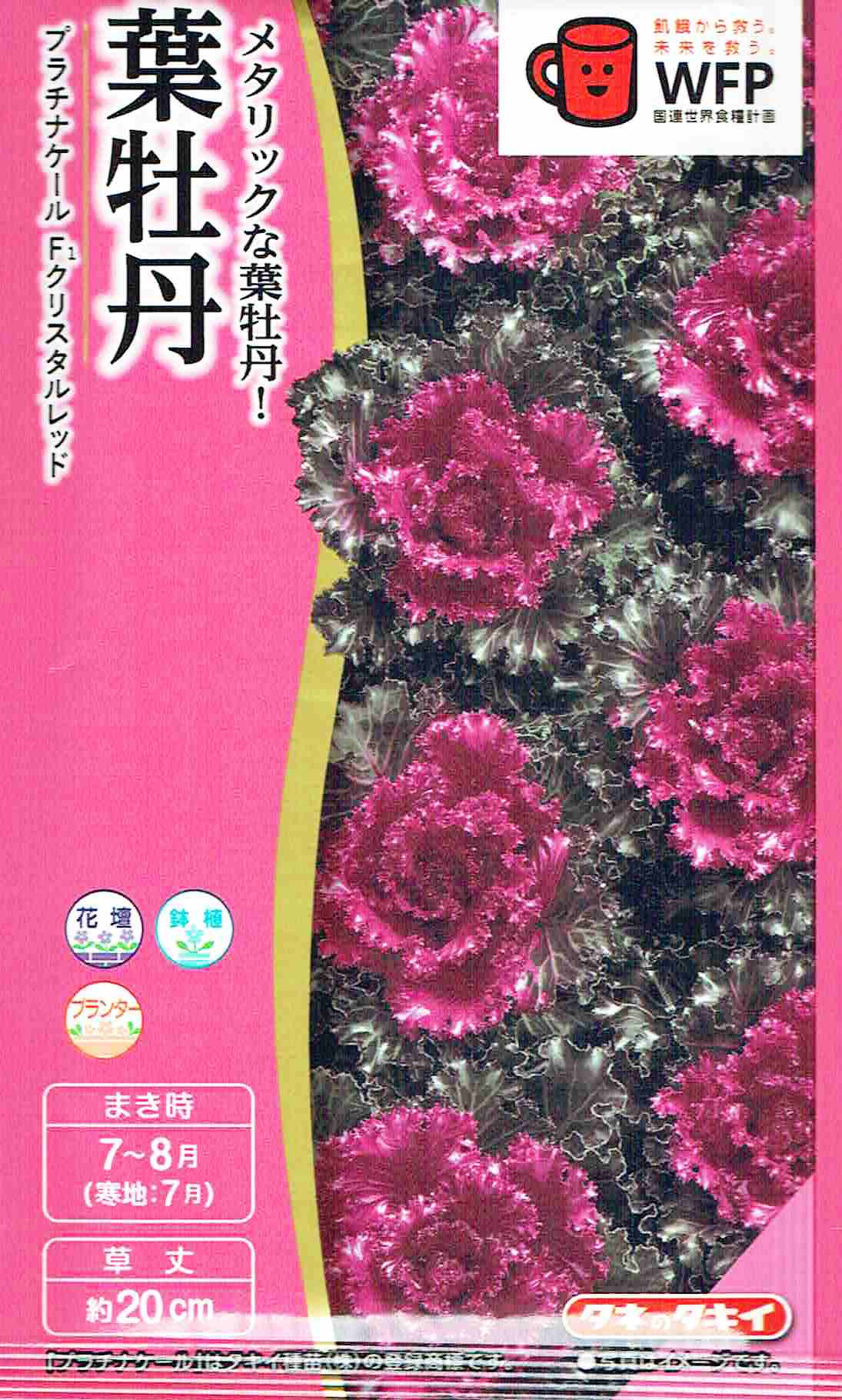 タキイ種苗 葉牡丹 プラチナケール　クリスタルレッドのタネ[内容量：約20粒]