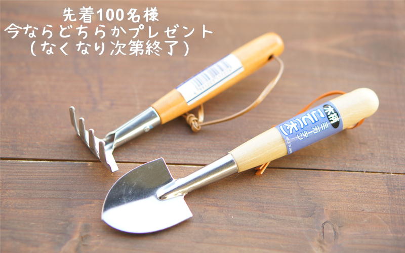 ハーブ栽培セット「マーシュ」
