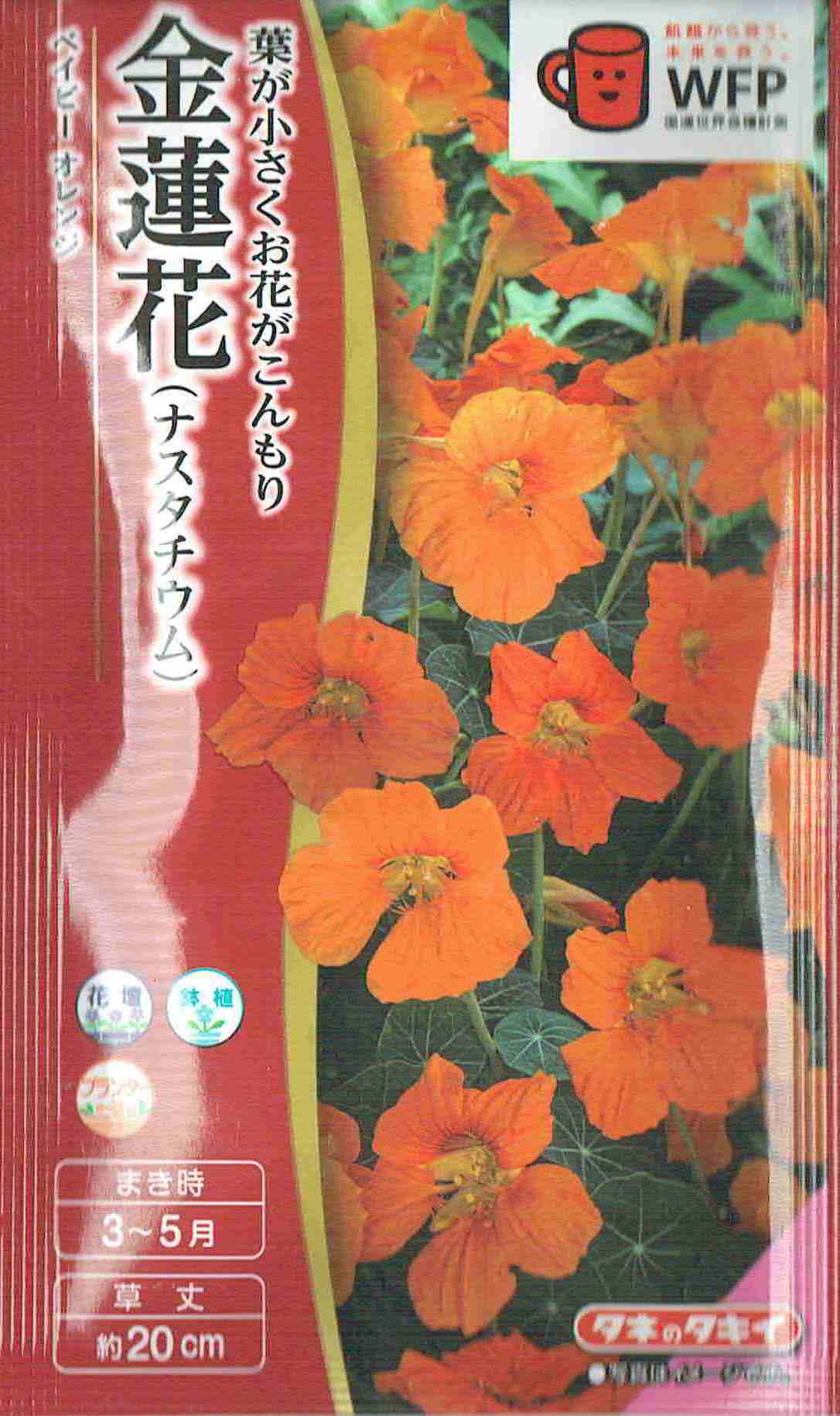 製造元：タキイ種苗花と葉の美しいコントラスト金蓮花　ベイビー　オレンジトンネルの要・不要や定植などの情報は商品パッケージをご確認ください。鉢植プランターコンテナ発芽日数適温下で7〜14日発芽適温15〜20度生育適温15〜25度株間20〜30cm草丈約20cm特長濃いめのオレンジの花色と、深みのある緑の葉色が美しい品種です。コンパクトに生育し、狭いスペースの植栽やポット、プランターでも楽しめます。タネまき適期：春まき　3月下旬〜5月上旬種まき培土を使いポットに1〜2粒播きます。生育の良い株を残して本葉2〜3枚まで育てます。種は大きいので、目的の場所に直播もできます。栽培管理本葉2〜3枚になれば、日当たりと水はけのよい場所に株間20〜30cmで植えつけます。夏には花が休むので早春に播いて早く咲かせます。また秋に種を播いて小苗を室内で越冬させ、春に植え替えると、早くから開花し長期間花を楽しむことができます。金蓮花の種子,金蓮花のタネ,ベイビーの種子,ベイビーのタネ,べいびーの種子,べいびーのタネ,オレンジの種子,オレンジのタネ,おれんじの種子,おれんじのタネ2024/03/27 - ver.3.0