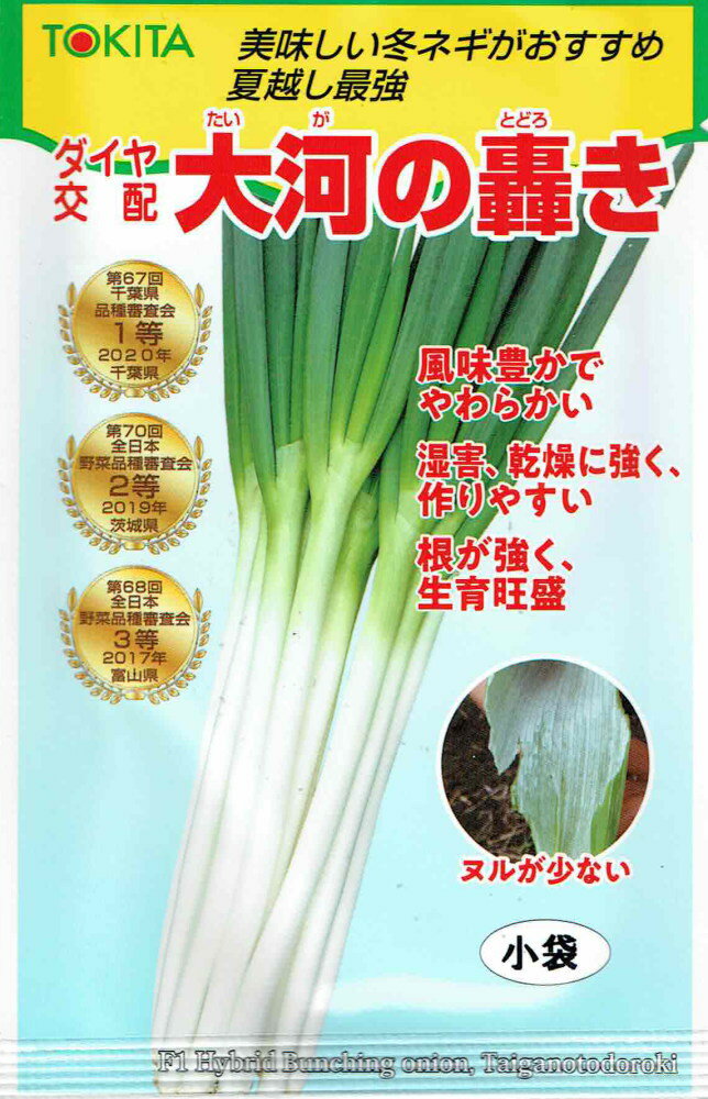 トキタ種苗 ネギ 大河の轟きのタネ(たいがのとどろき)[内容量：5ml]