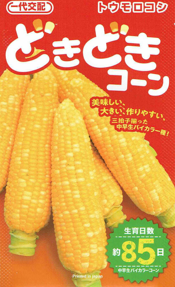 カネコ種苗 トウモロコシ どきどきコーンのタネ[内容量：約100粒]