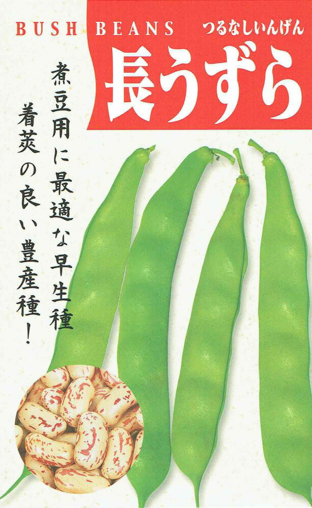 製造元：松永種苗煮豆用に最適な早生種、着莢の良い豊産種！つるなしいんげん　長うずらトンネルの要・不要や定植などの情報は商品パッケージをご確認ください。固定種畑株間50cmうね幅約1m特性生育の早い早生タイプ、サヤは緑色の平型、長さ12〜15cm位。若サヤはセンイ少なく柔らかで甘味、風味に富み食味最高。子実は長型で茶褐色の縞が入り煮豆用として人気があります。土づくり・酸性土壌に弱いので石灰を散布しよく耕して土壌を中和させておきます。・肥料は堆肥、油かす、化成肥料などを元肥に施しておきます。たねまき・うね幅1m位、株間50cm位に1ヶ所3〜4粒宛点播します。・つるなし種ですから、支柱を立てる必要はありませんが、敷ワラ、マルチ等を行うとよい。栽培のポイント・生育して本葉が2〜3枚になった頃、丈夫な苗を残し1〜2本立ちにします。・本葉が4〜5枚の頃土寄せを行い追肥として化成肥料を施します。利用法若サヤは油炒め、おひたし等にして新鮮なおいしさです。子実は縞模様の美しさと味の良さで煮豆として利用します。つるなしいんげんの種子,つるなしいんげんのタネ,ツルナシインゲンの種子,ツルナシインゲンのタネ,長うずらの種子,長うずらのタネ,長ウズラの種子,長ウズラのタネ2024/05/14 - ver.3.0