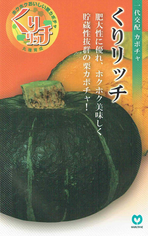 丸種 カボチャ くりリッチのタネ[内容量：約8粒]