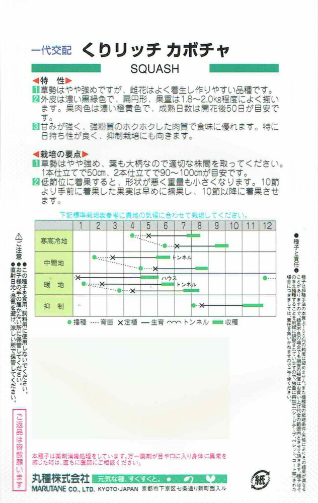 丸種 カボチャ くりリッチのタネ[内容量：約8粒]