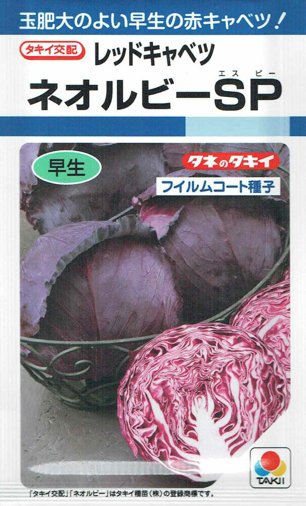 製造元：タキイ種苗玉肥大のよい早生の赤キャベツ！レッドキャベツ　ネオルビーSPトンネルの要・不要や定植などの情報は商品パッケージをご確認ください。早生畑発芽適温20〜25度生育適温15〜20度発芽日数4〜6日特長根張りがよく、栽培容易でよくそろう。玉肥大のよい早生の赤キャベツ。裂球が遅く、在圃性にすぐれる。タネまき発芽までは適湿を保ち、セルトレイの場合は本葉3〜5枚程度、ポット苗の場合は本葉5〜6枚の苗に育てます。定植・その後の管理定植後は速やかに活着させ、初期生育を促します。その後、追肥により十分な株に仕上げた後、玉肥大を進めます。収穫玉が大きくなり、内部がしまってきたら収穫適期です。レッドキャベツの種子,レッドキャベツのタネ,れっどきゃべつの種子,れっどきゃべつのタネ,ネオルビーSPの種子,ネオルビーSPのタネ,ねおるびーSPの種子,ねおるびーSPのタネ2024/07/26 - ver.3.0