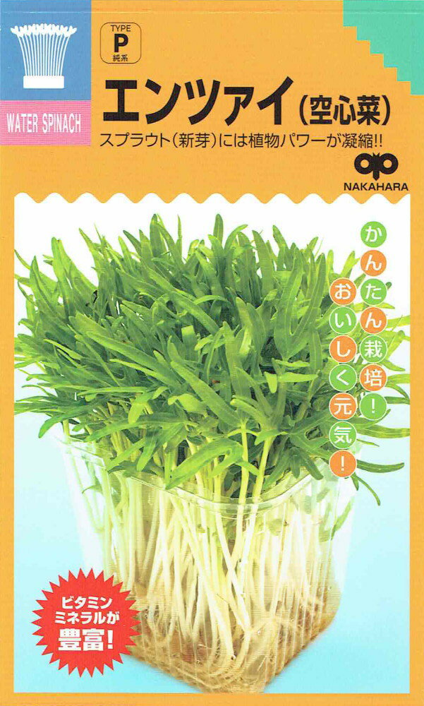 中原採種場 スプラウト エンツァイ（空心菜）のタネ[内容量：30ml]
