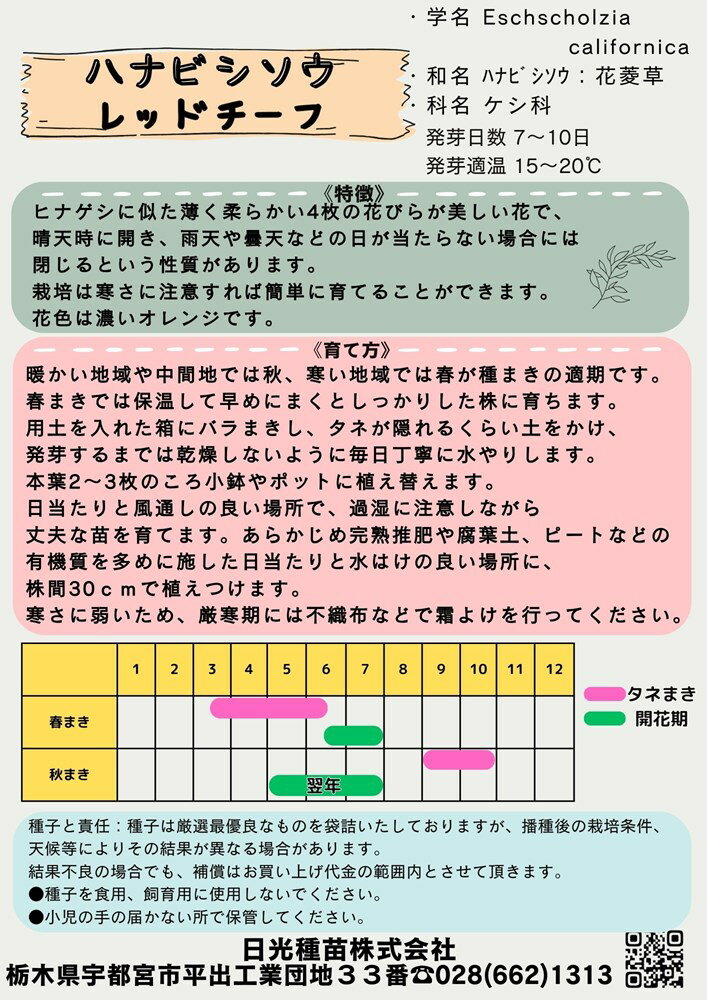 日光種苗「花菱草 レッドチーフ」のタネ　[内容量：100ml](はなびしそう、ハナビシ...