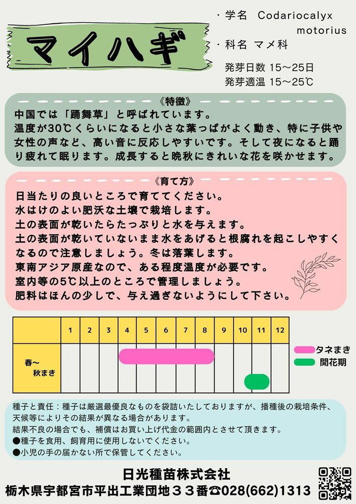 日光種苗 舞萩 マイハギのタネ(まいはぎ)[内容量：10ml]