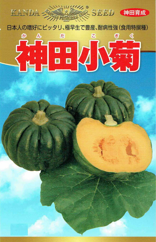 神田育種農場 カボチャ 神田小菊のタネ(かんだこぎく)[内容量：約15粒]