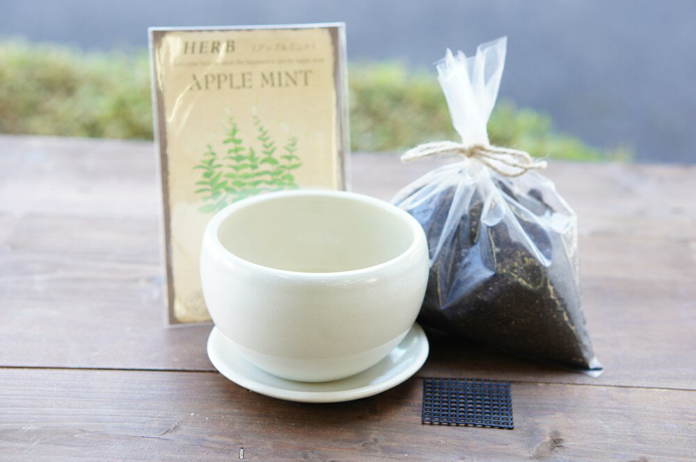 �ϡ��ּ�ȱ׻Ҿƺ��ݥ��åȡ֥ϡ��ּ�ȹ����ءʤ̤������椦�ˡ�