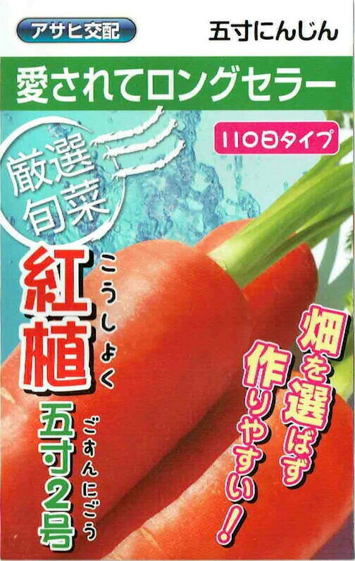愛されてロングセラー アサヒ農園　ニンジン　紅植五寸2号 特性 約18cm、約110日で収穫の5寸ニンジン。畑を選ばず蒔き時期が長いのが特徴。「味・形・色」が良いと好評です。 【土づくり】播種の1ヵ月程前に石灰・緩効性肥料を1平米当たり各ひとにぎり程度。土の固まりができないようにしっかり耕す！【タネまき】60cm幅の畝に条間20cmですじ播きにします。芽が出るまで乾燥に注意！【間引き】本葉5枚頃を目安に株間7〜10cmになるように間引きします。【追肥土寄せ・収穫】間引きの直後に速効性肥料を施し、合わせて土寄せします。タネまきから約110日で収穫！ にんじん、ニンジン、人参 [s01][s02][s03][s04][s05][s06][s07][s08][s09][s0][s11][s12]