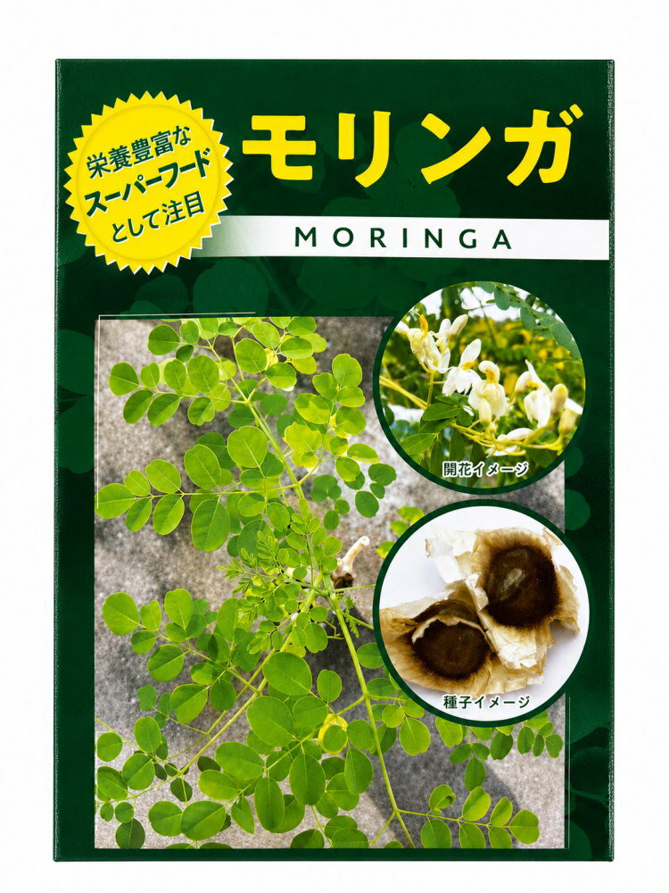楽天市場】モリンガ苗の通販
