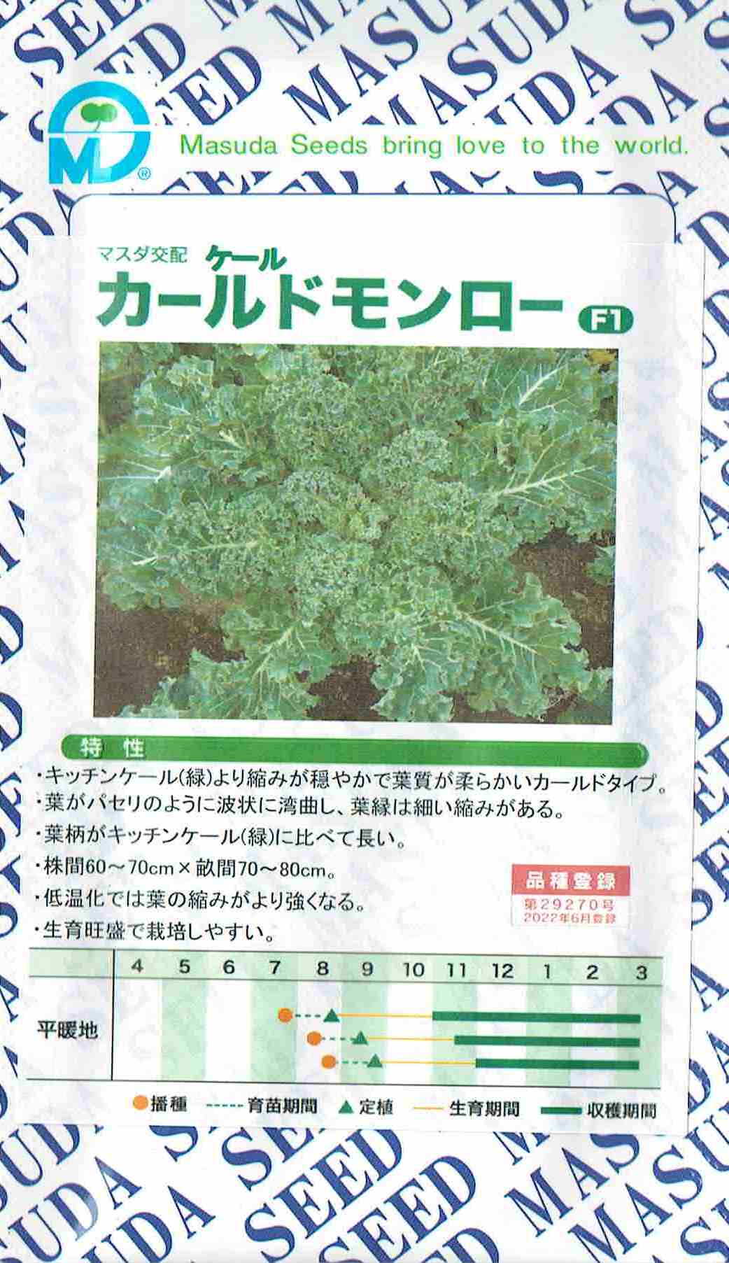 増田採種場　ケール　カールドモンロー 特性 キッチンケール（緑）より縮みが穏やかで葉質が柔らかいカールドタイプ。 葉がパセリのように波状に湾曲し、葉縁は細い縮みがある。 葉柄がキッチンケール（緑）に比べて長い。 株間60〜70cm×畝間70〜80cm。 低温期では葉の縮みがより強くなる。 生育旺盛で栽培しやすい。 ケール [s0][s0][s0][s0][s0][s0][s07][s08][s0][s][s][s]