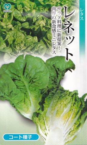 丸種　レタス　レネット　コート種子約40粒【郵送対応】