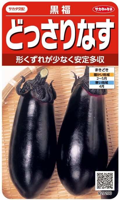 サカタのタネ ナス どっさりなす 黒福 0.8ml【郵送対応】