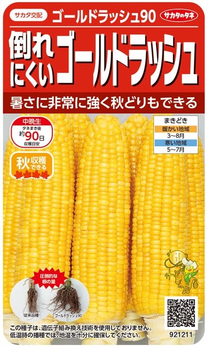 サカタのタネ トウモロコシ 倒れにくい ゴールドラッシュ90 21ml【郵送対応】