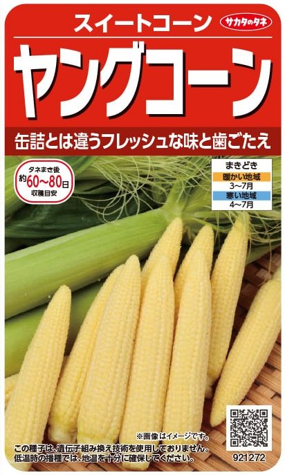 サカタのタネ トウモロコシ ヤングコーン 35ml【郵送対応】