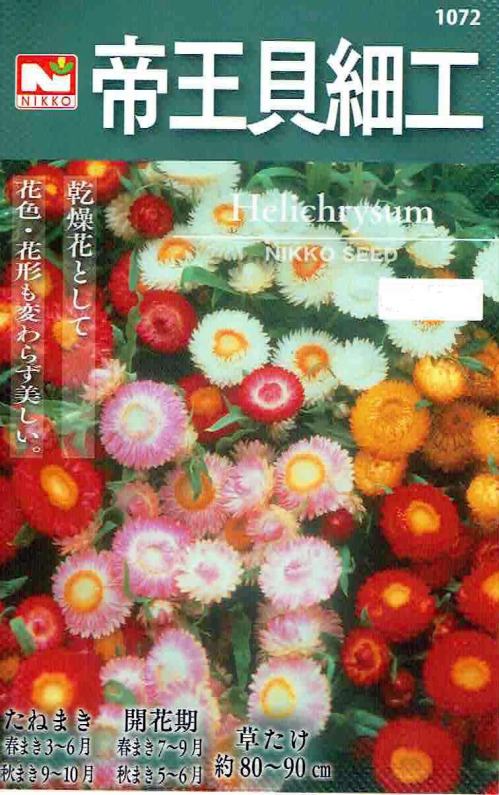 日光種苗　帝王貝細工（ヘリクリサム）のタネ[内容量：0.5ml]【1072】