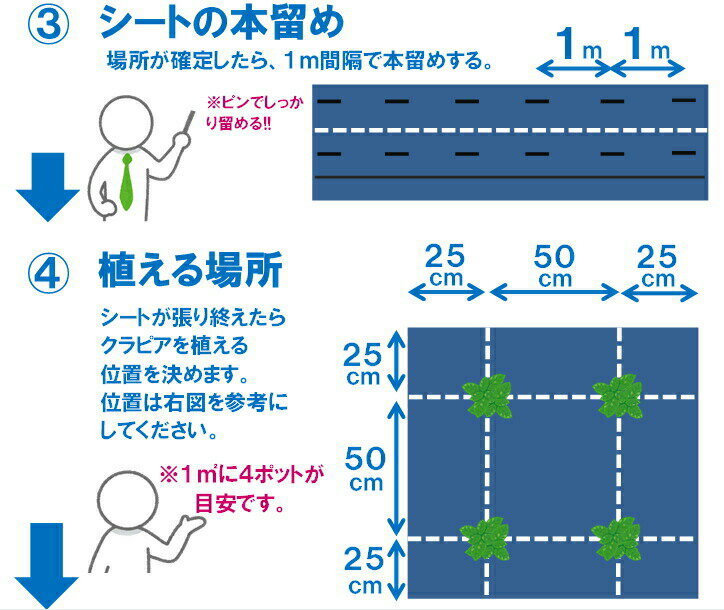 クラピア向け ガーデンシートセット（約12平米分）・有機入緩効性肥料1kg付【使用方法説明書付】【お庭用】【送料込み】【メーカー直送につき代引不可】