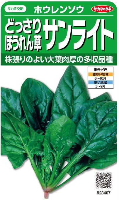サカタのタネ　ホウレンソウ どっさりほうれん草　サンライト　25ml【郵送対応】