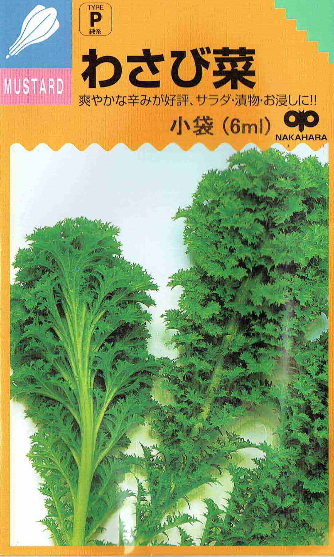 中原採種場　わさび菜 20ml 【郵送対応】