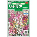 サカタのタネ リナリア(姫金魚草)・高性混合 【郵送対応】