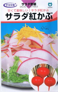 Rakuten - 丸種　カブ　サラダ紅かぶ 1.2ml 【郵送対応】